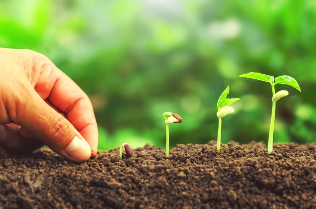 Cresce exponencialmente a comissão de defesa dos cristãos, CEC!